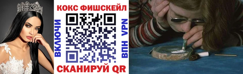 КОКАИН FishScale  купить наркотики сайты  Мелеуз 
