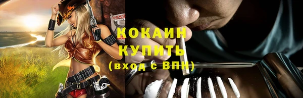 ешки Кукмор